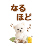 癒し白くまの気軽な敬語スタンプ【BIG】（個別スタンプ：26）