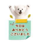 癒し白くまの気軽な敬語スタンプ【BIG】（個別スタンプ：31）