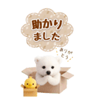 癒し白くまの気軽な敬語スタンプ【BIG】（個別スタンプ：32）