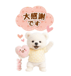 癒し白くまの気軽な敬語スタンプ【BIG】（個別スタンプ：35）