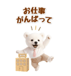 癒し白くまの気軽な敬語スタンプ【BIG】（個別スタンプ：37）