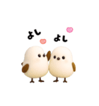 ふっくら3D♡シマエナガさん（個別スタンプ：6）