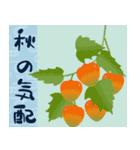 大人のための残暑みまい便（個別スタンプ：21）