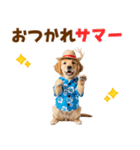 ゴールデンの夏まつりスタンプ（個別スタンプ：4）
