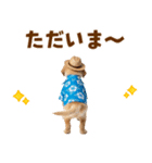 ゴールデンの夏まつりスタンプ（個別スタンプ：9）