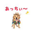 ゴールデンの夏まつりスタンプ（個別スタンプ：10）