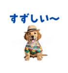 ゴールデンの夏まつりスタンプ（個別スタンプ：12）