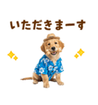 ゴールデンの夏まつりスタンプ（個別スタンプ：22）