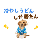 ゴールデンの夏まつりスタンプ（個別スタンプ：23）