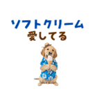 ゴールデンの夏まつりスタンプ（個別スタンプ：24）