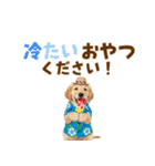 ゴールデンの夏まつりスタンプ（個別スタンプ：25）