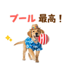 ゴールデンの夏まつりスタンプ（個別スタンプ：27）
