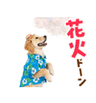 ゴールデンの夏まつりスタンプ（個別スタンプ：29）