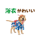 ゴールデンの夏まつりスタンプ（個別スタンプ：31）