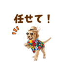 ゴールデンの夏まつりスタンプ（個別スタンプ：34）