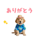 ゴールデンの夏まつりスタンプ（個別スタンプ：35）