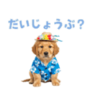 ゴールデンの夏まつりスタンプ（個別スタンプ：36）