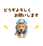 ゴールデンの夏まつりスタンプ（個別スタンプ：38）