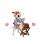ゴールデンの夏まつりスタンプ（個別スタンプ：40）