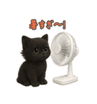 夏を楽しむ♪黒猫ぬいぐるみスタンプ（個別スタンプ：6）