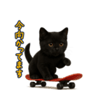 夏を楽しむ♪黒猫ぬいぐるみスタンプ（個別スタンプ：10）