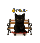 夏を楽しむ♪黒猫ぬいぐるみスタンプ（個別スタンプ：12）