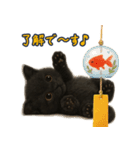 夏を楽しむ♪黒猫ぬいぐるみスタンプ（個別スタンプ：16）