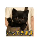 夏を楽しむ♪黒猫ぬいぐるみスタンプ（個別スタンプ：20）