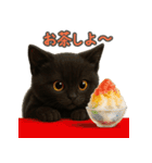 夏を楽しむ♪黒猫ぬいぐるみスタンプ（個別スタンプ：24）