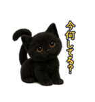 夏を楽しむ♪黒猫ぬいぐるみスタンプ（個別スタンプ：28）
