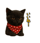 夏を楽しむ♪黒猫ぬいぐるみスタンプ（個別スタンプ：30）