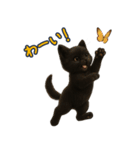 夏を楽しむ♪黒猫ぬいぐるみスタンプ（個別スタンプ：31）