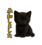 夏を楽しむ♪黒猫ぬいぐるみスタンプ（個別スタンプ：33）