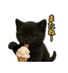 夏を楽しむ♪黒猫ぬいぐるみスタンプ（個別スタンプ：35）
