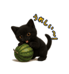 夏を楽しむ♪黒猫ぬいぐるみスタンプ（個別スタンプ：38）