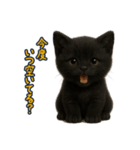 夏を楽しむ♪黒猫ぬいぐるみスタンプ（個別スタンプ：40）