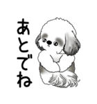 B＆Wシーズー 「飛び出す」面倒くさいの...（個別スタンプ：4）