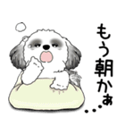 B＆Wシーズー 「飛び出す」面倒くさいの...（個別スタンプ：5）