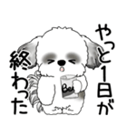 B＆Wシーズー 「飛び出す」面倒くさいの...（個別スタンプ：6）