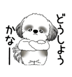 B＆Wシーズー 「飛び出す」面倒くさいの...（個別スタンプ：8）