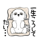 B＆Wシーズー 「飛び出す」面倒くさいの...（個別スタンプ：10）