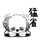 B＆Wシーズー 「飛び出す」面倒くさいの...（個別スタンプ：15）
