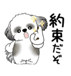 B＆Wシーズー 「飛び出す」面倒くさいの...（個別スタンプ：19）