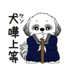 B＆Wシーズー 「飛び出す」面倒くさいの...（個別スタンプ：21）