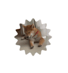 ソラの子犬期（個別スタンプ：4）