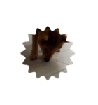 ソラの子犬期（個別スタンプ：14）