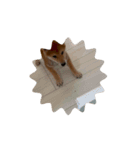 ソラの子犬期（個別スタンプ：16）