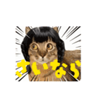お酒とネコ好きな日常会話 43（個別スタンプ：14）