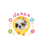 はる太の日常♡（個別スタンプ：2）