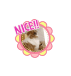 はる太の日常♡（個別スタンプ：6）
